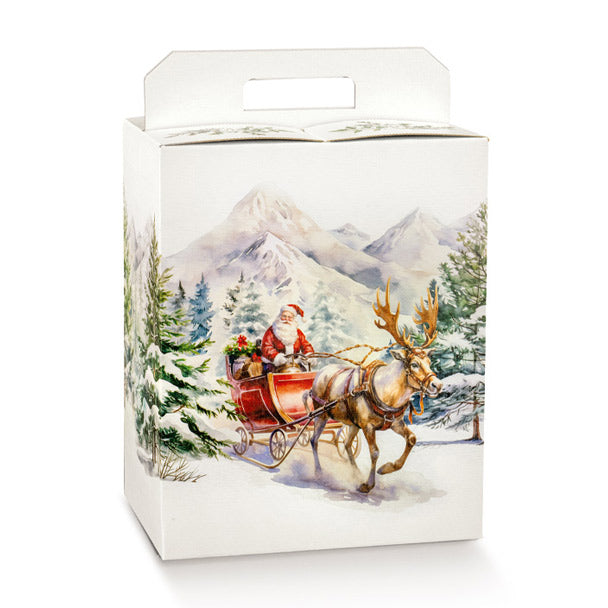 Scatola Portapanettone e Bottiglia Scotton – Scatola Natalizia con Maniglia 30 Pezzi