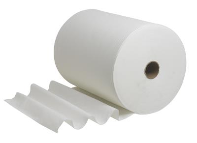 2 rotoli Bobine Asciugamani Asciugatutto Smart Plus – 2 Veli, 800 Strappi