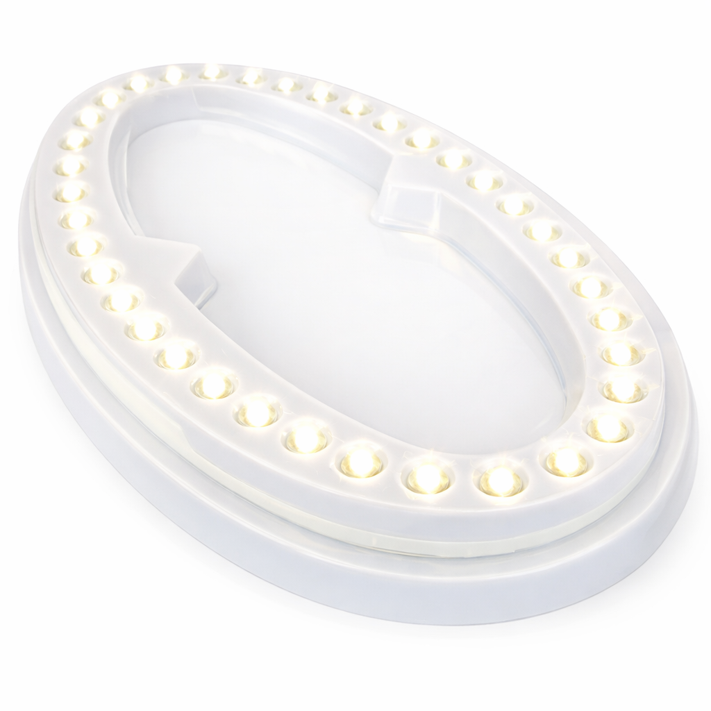 Secchielli Portaghiaccio Trasparenti Eleganti – Con Base LED Acquistabile Separatamente