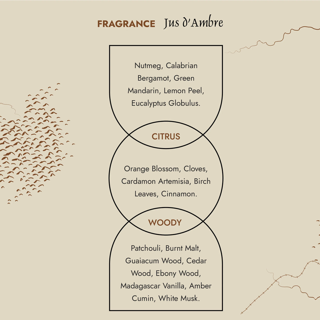 Prija Profumatore Ambiente con Bastoncini Jus d’Ambre – 200 ml