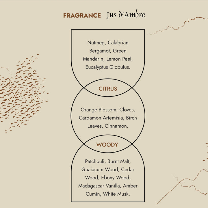 Prija Profumatore Ambiente con Bastoncini Jus d’Ambre – 200 ml
