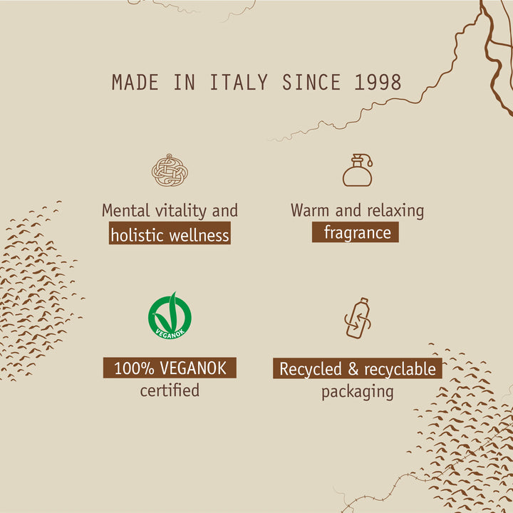 Prija Profumatore Ambiente con Bastoncini Jus d’Ambre – 200 ml