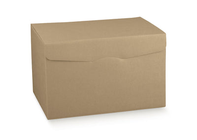 Scatola porta panettone e bottiglie con chiusura ad incastro Scotton cm 44x34 h37 - 1pz
