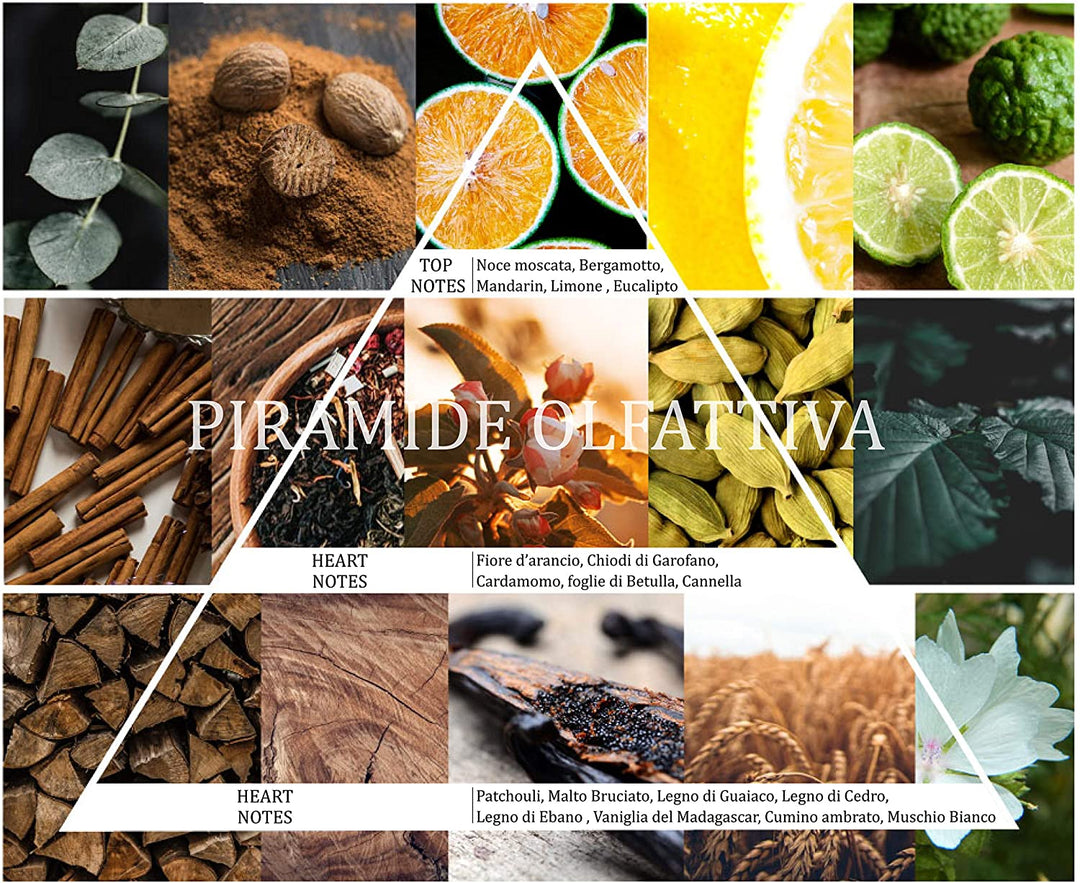 Crema Idratante Prija mani e corpo con Vitamina E Gfl 380ml