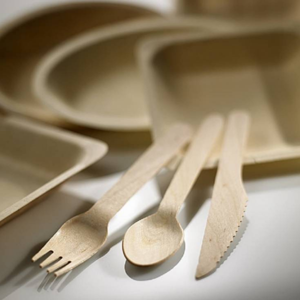 100pz Cucchiai monouso in Legno di Betulla 16cm